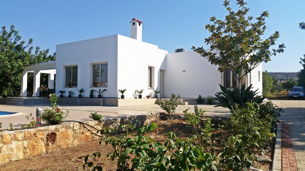 Eliofos Luxury Villa Polis Eksteriør bilde