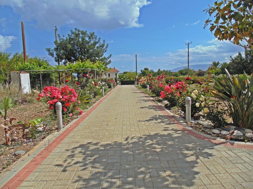 Eliofos Luxury Villa Polis Eksteriør bilde