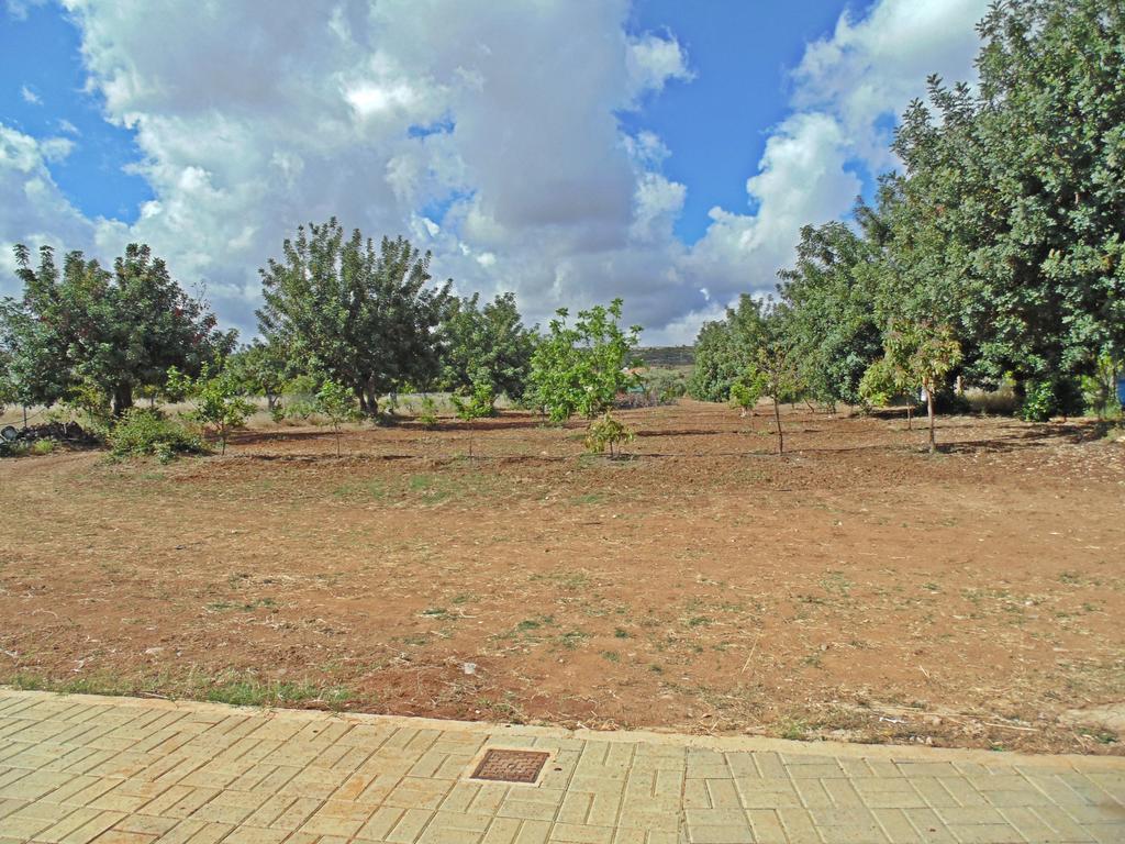 Eliofos Luxury Villa Polis Eksteriør bilde
