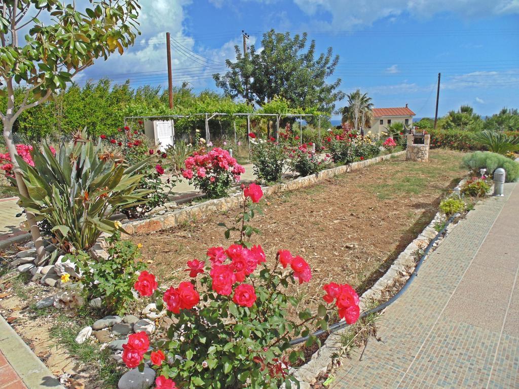 Eliofos Luxury Villa Polis Eksteriør bilde