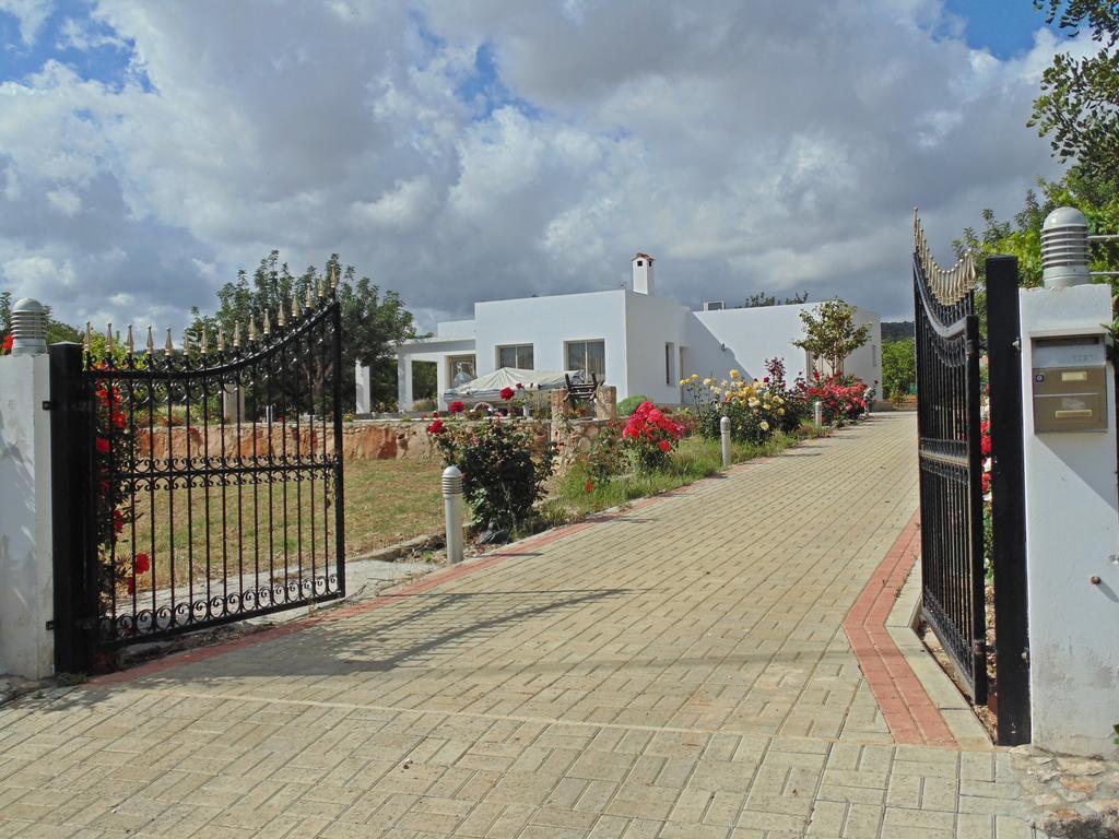 Eliofos Luxury Villa Polis Eksteriør bilde