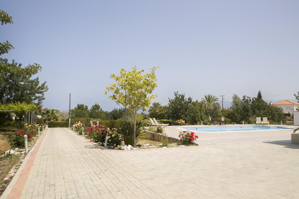 Eliofos Luxury Villa Polis Eksteriør bilde