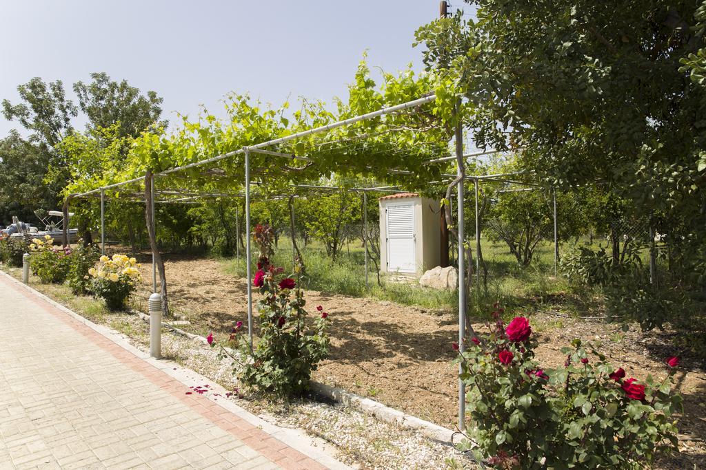 Eliofos Luxury Villa Polis Eksteriør bilde