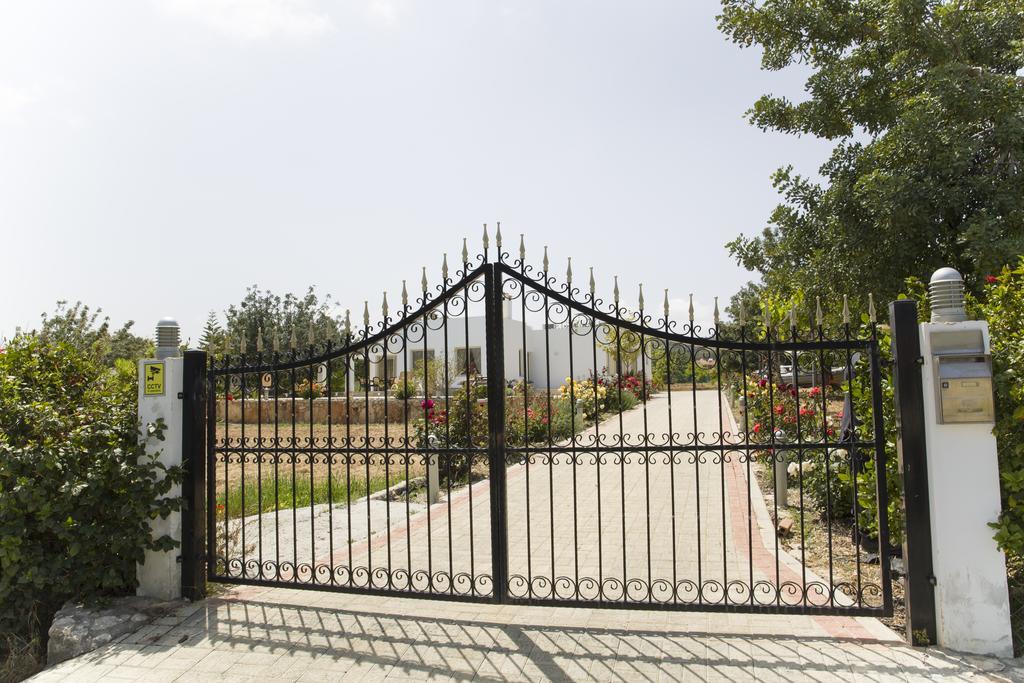Eliofos Luxury Villa Polis Eksteriør bilde