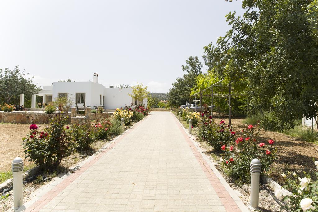 Eliofos Luxury Villa Polis Eksteriør bilde