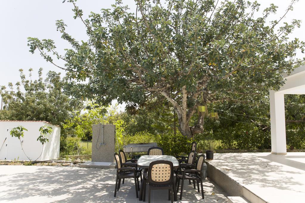 Eliofos Luxury Villa Polis Eksteriør bilde